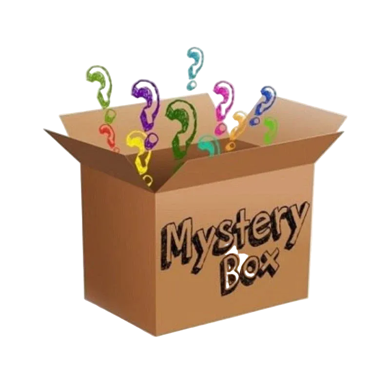 Christmas Mystery Box